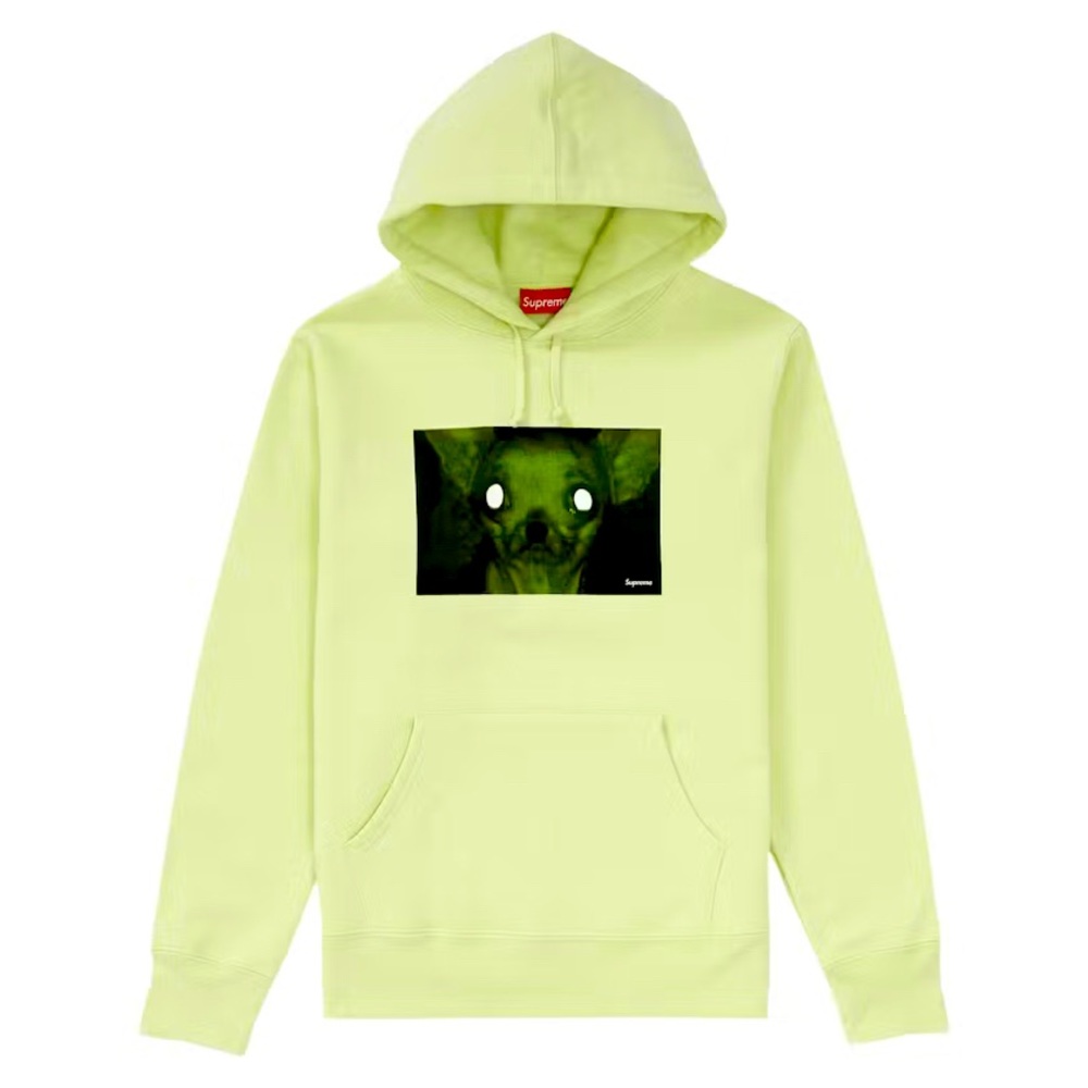 Supreme Chris Cunningham Chihuahua Hooded Sweatshirt | Pale Mint | Medium Size